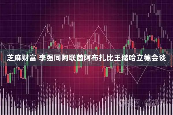 芝麻财富 李强同阿联酋阿布扎比王储哈立德会谈